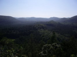 Les profondes forêts du Bitscherland vues depuis le sommet du château.