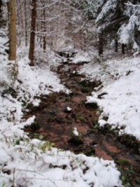 Le ruisseau de la Bildmühle en hiver (photographie de Yannes Schaeffer).