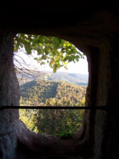 La profonde forêt de sapins vue depuis les ruines du Falkenstein, véritable nid d'aigle posé sur les hauteurs (photographie de Clément Mischler).