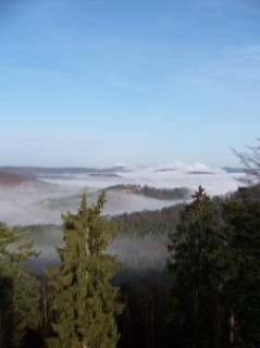 Le voile de brouillard se lève sur la forêt : magnifique spectacle offert depuis le sommet du Falkenstein.