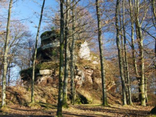 Les ruines du Rothenbourg se situent à proximité de celles du Falkenstein.
