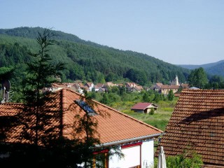 Le village est situé dans la vallée du Falkensteinerbach.