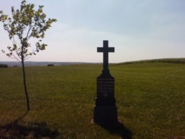 La croix élevée par la famille Krebs-Botzong se dresse en bordure du chemin de Singling. Elle rappelle la mémoire de Joseph Krebs-Botzong, né le 8 juin 1917 et tombé à cet endroit lors de la rafle de l'armée nazie, le 3 novembre 1944.