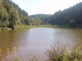 L'étang du Hoernerhof à Montbronn constitue une belle pièce d'eau entourée de forêts (photographie de la com. de com. du pays du verre et du cristal).