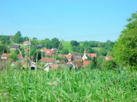 Panorama du hameau d'Urbach depuis le chemin menant à Weiskirch à travers les champs.