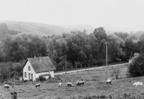 La croix se situe à proximité du moulin de Schweyen (photographie du service régional de l'inventaire).